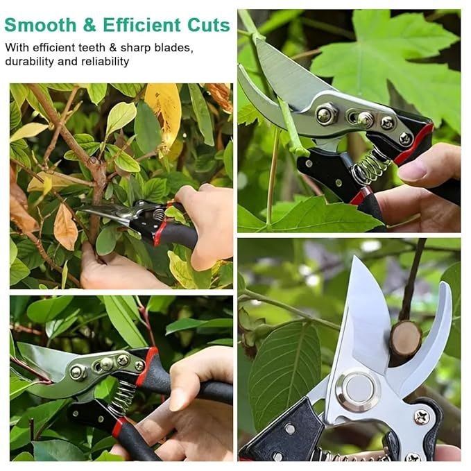 Kit d'Outils de Taille et Élagage pour Jardin