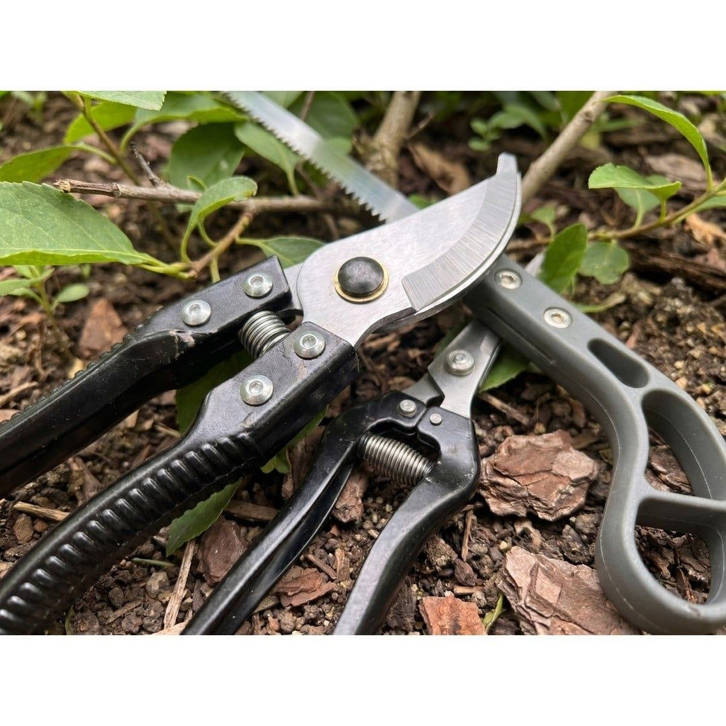 Kit d'Outils de Taille et Élagage pour Jardin