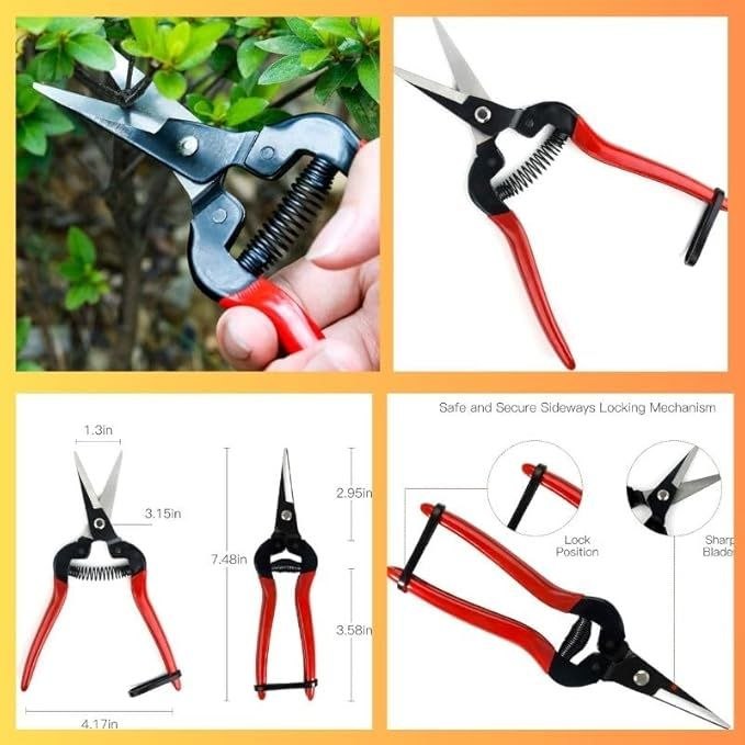Kit d'Outils de Taille et Élagage pour Jardin