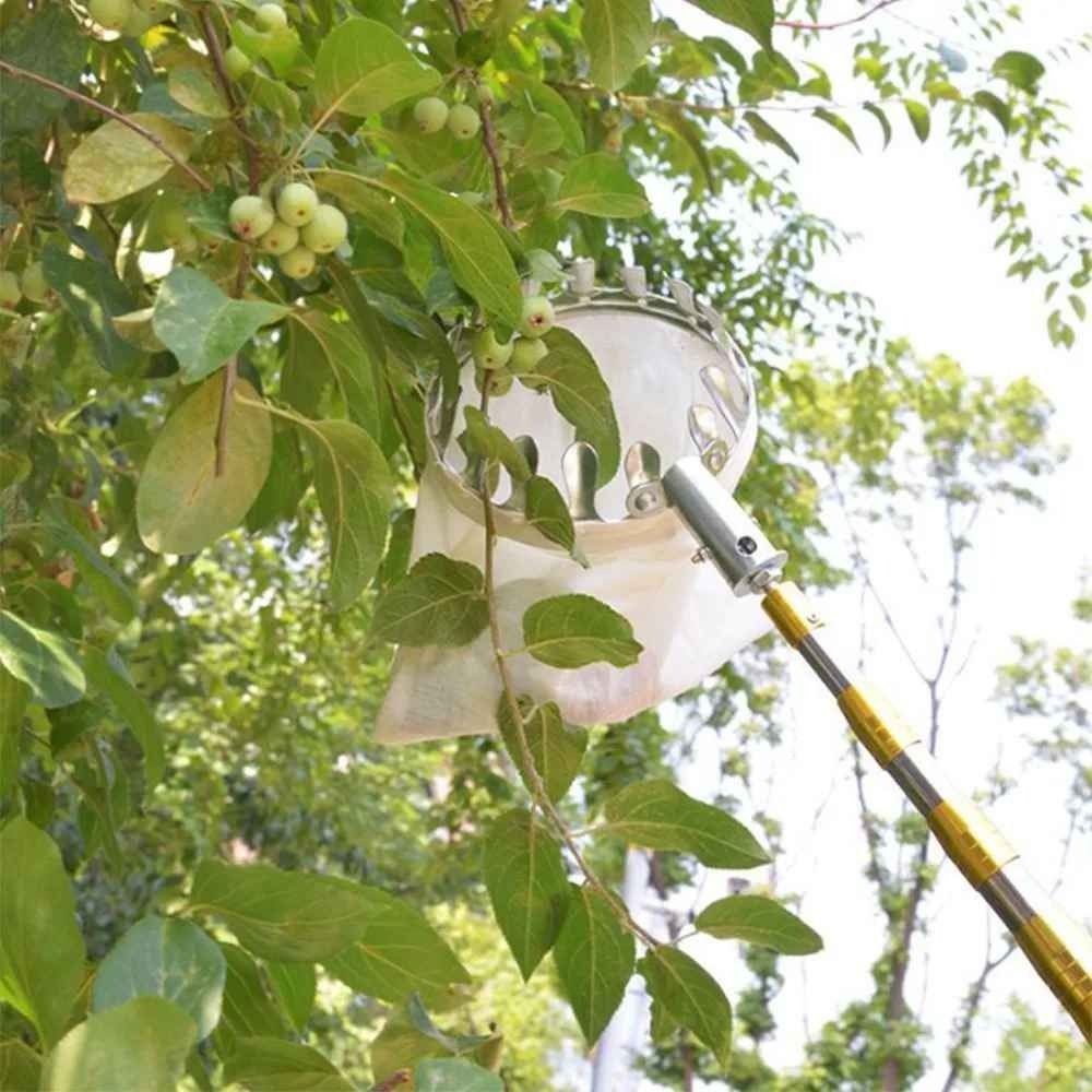 Retractable Fruit Picker 3-Piece Set